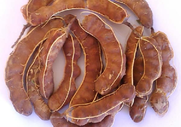 Fiber Tamarind